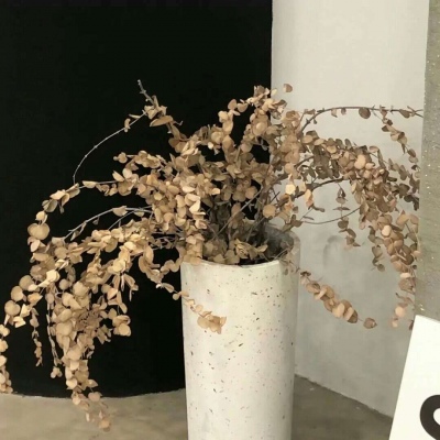 Furry插画创意构思思路兽圈社群